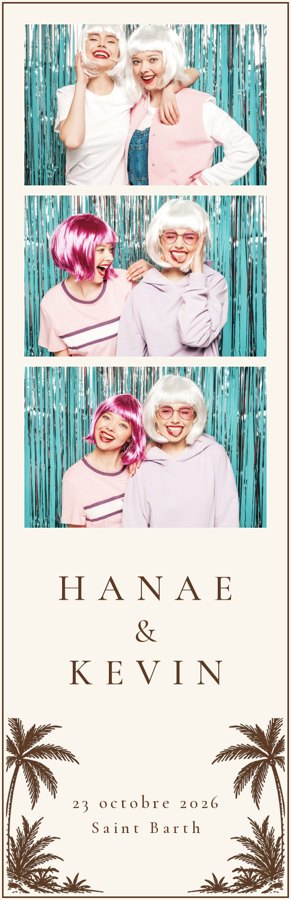 Sample frames : 2×3 strips