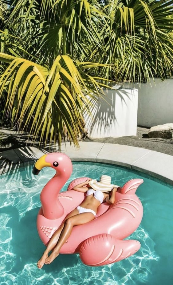Flamingo float in a pool