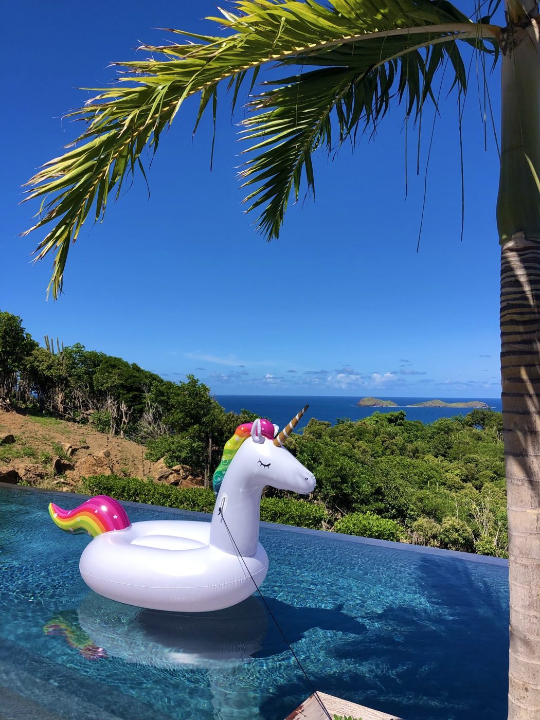 Unicorn float on an infinity pool